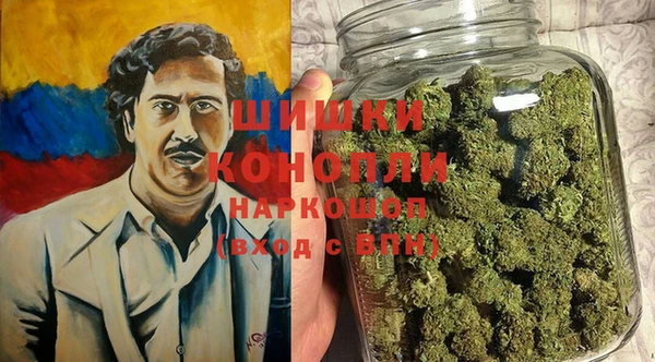 индика Алзамай