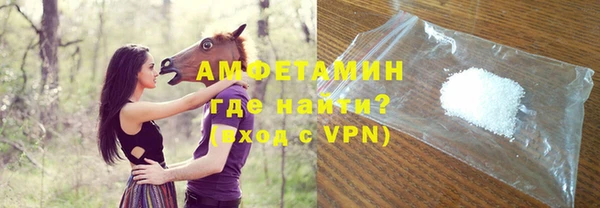 индика Алзамай