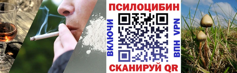 дарнет шоп Байкальск Псилоцибиновые грибы Magic Shrooms
