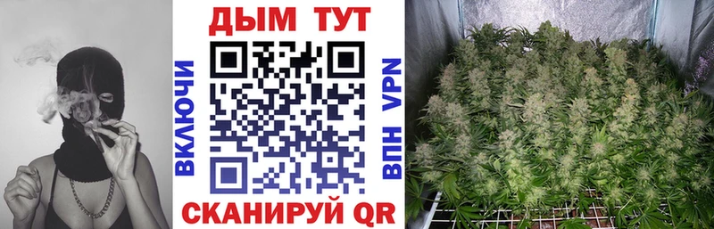 Шишки марихуана планчик  продажа наркотиков  OMG онион  Байкальск 